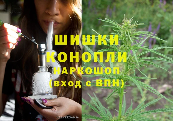 Альфа ПВП Аркадак