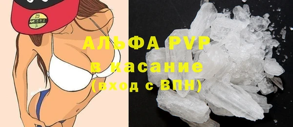 Альфа ПВП Аркадак
