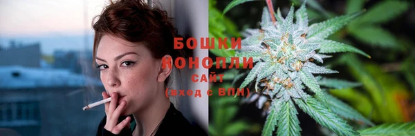 ГАЛЛЮЦИНОГЕННЫЕ ГРИБЫ Арсеньев
